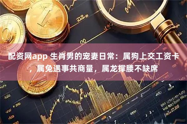 配资网app 生肖男的宠妻日常：属狗上交工资卡，属兔遇事共商量，属龙撑腰不缺席
